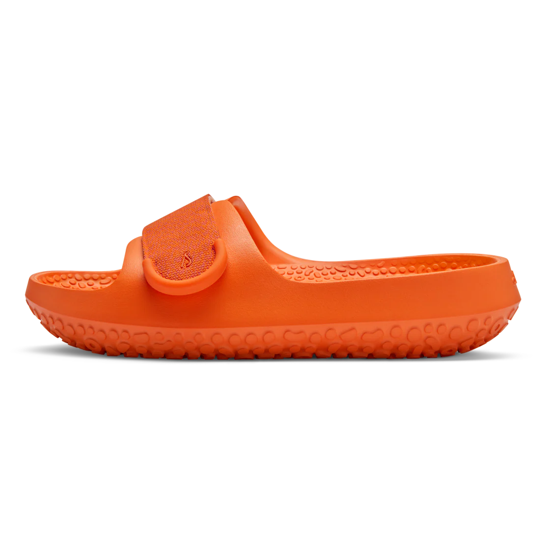 Sugar Sliders - Buoyant Orange